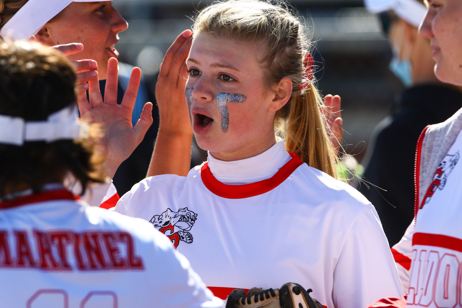 Gallery: Lake Central at Crown Point softball